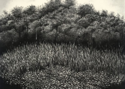 Secret Forest by Sorca O'Farrell