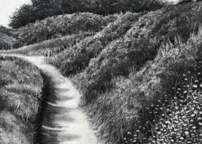 January Path by Sorca O'Farrell