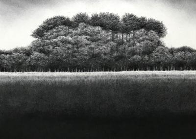 Everything Now by Sorca O'Farrell