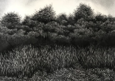 Seasons Change by Sorca O'Farrell