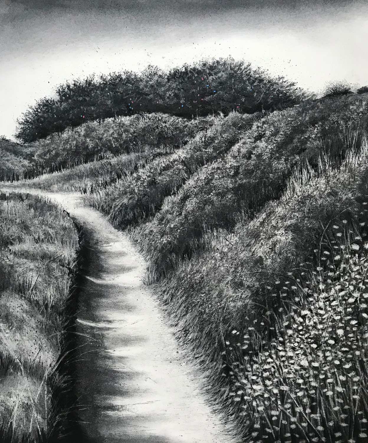 January Path by Sorca O'Farrell