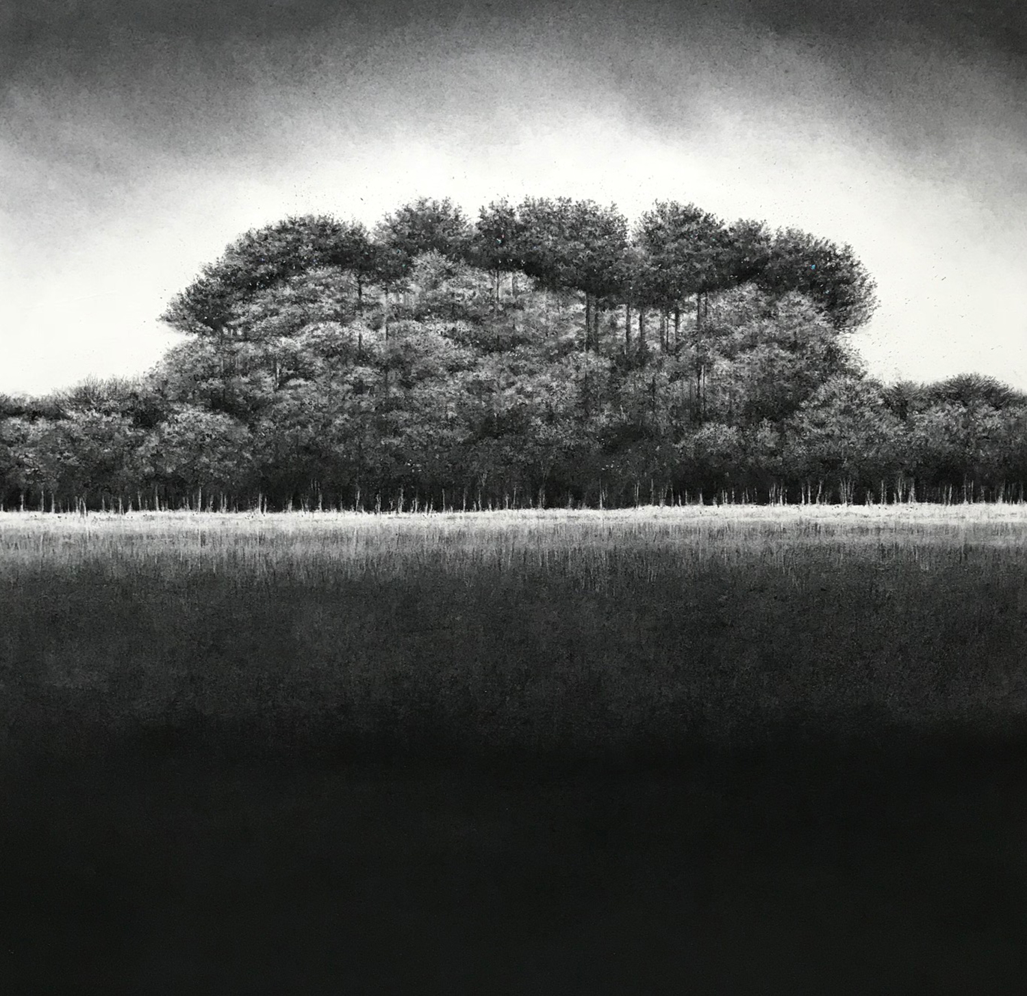 Everything Now by Sorca O'Farrell